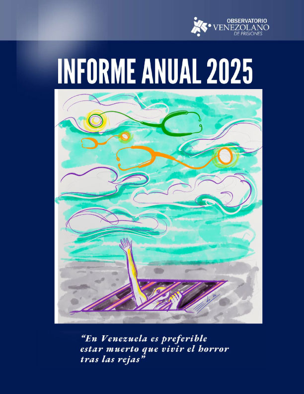 Informe anual 2025